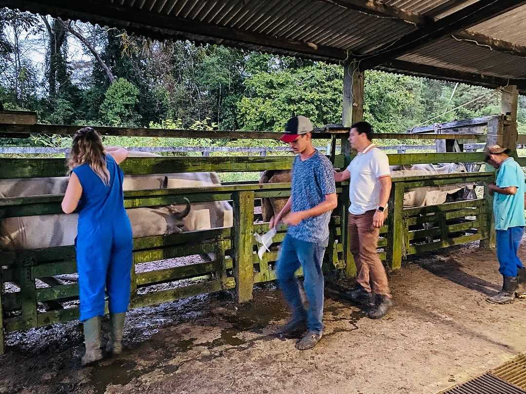 Camacã: Programa Mais Pecuária Brasil atende mais pecuaristas